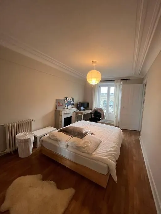 Parisian Apartment